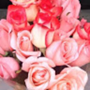 Meet your Posher, Alexis